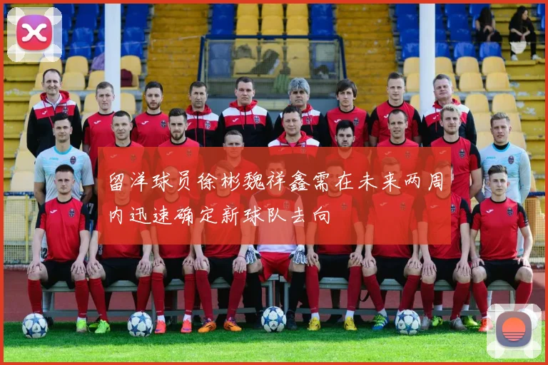 留洋球员徐彬魏祥鑫需在未来两周内迅速确定新球队去向